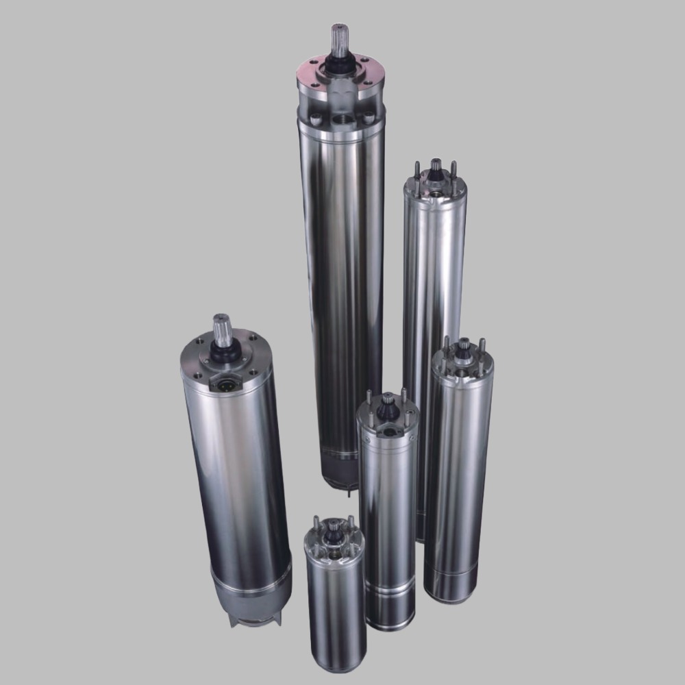 Deep Well Submersible Motors