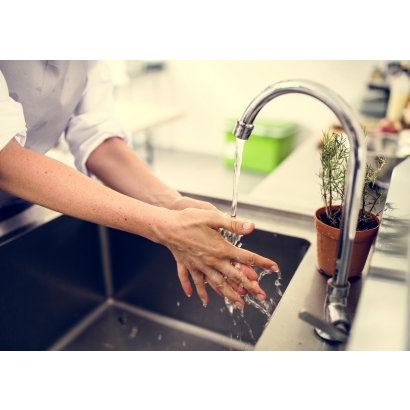 Domestic Booster Pump